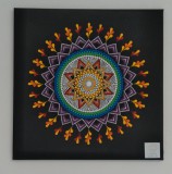 IMG_20231102_1153122